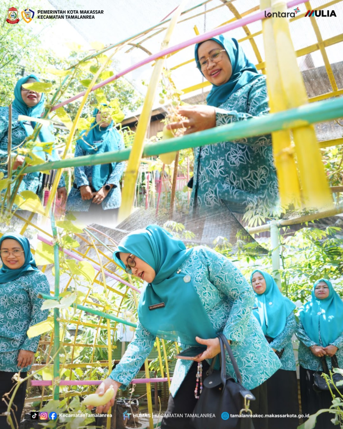 Pratinjau: Kebun PKK Tamalanrea Unjuk Potensi