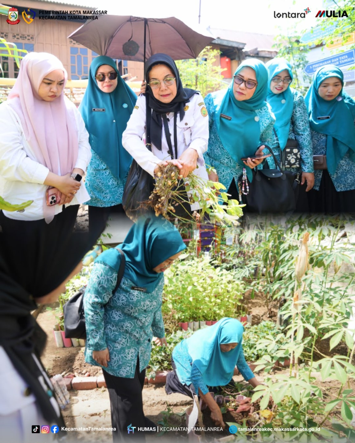 Pratinjau: Kebun PKK Tamalanrea Unjuk Potensi
