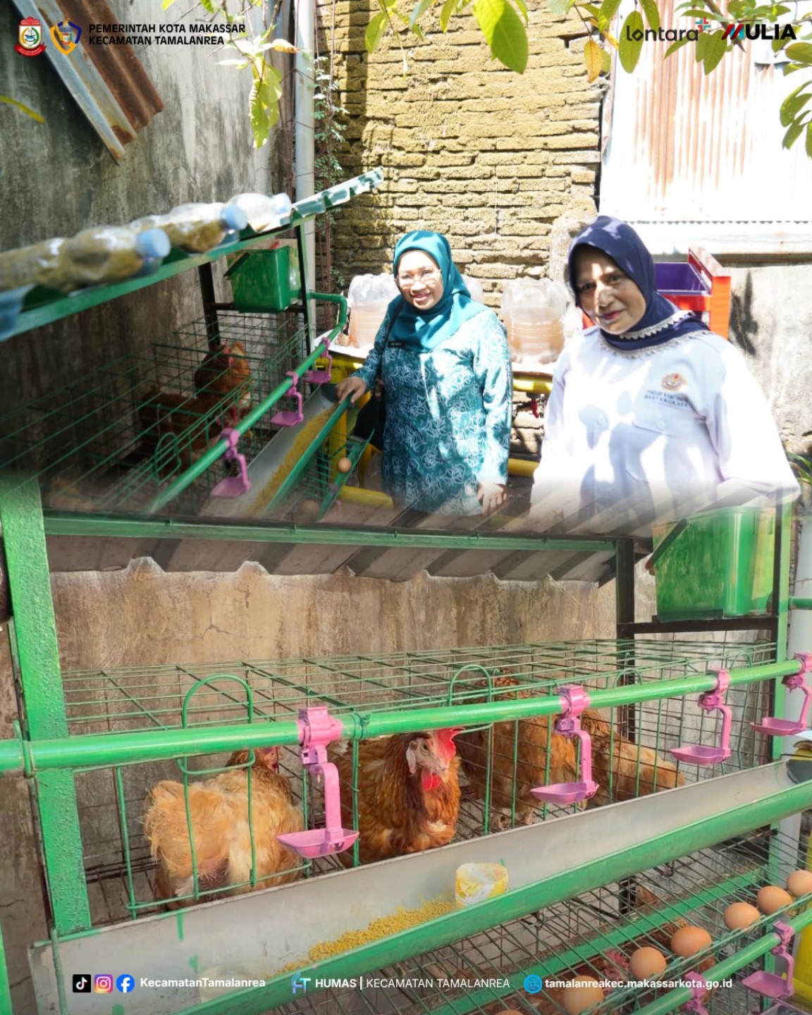 Pratinjau: Kebun PKK Tamalanrea Unjuk Potensi